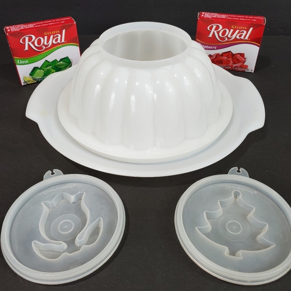 Vintage Tupperware Jel-N-Serve Complete Set Vintage Tupperware Jel-N-Serve Complete Set